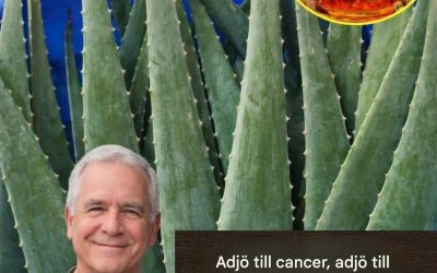 En dryck med aloe vera och honung