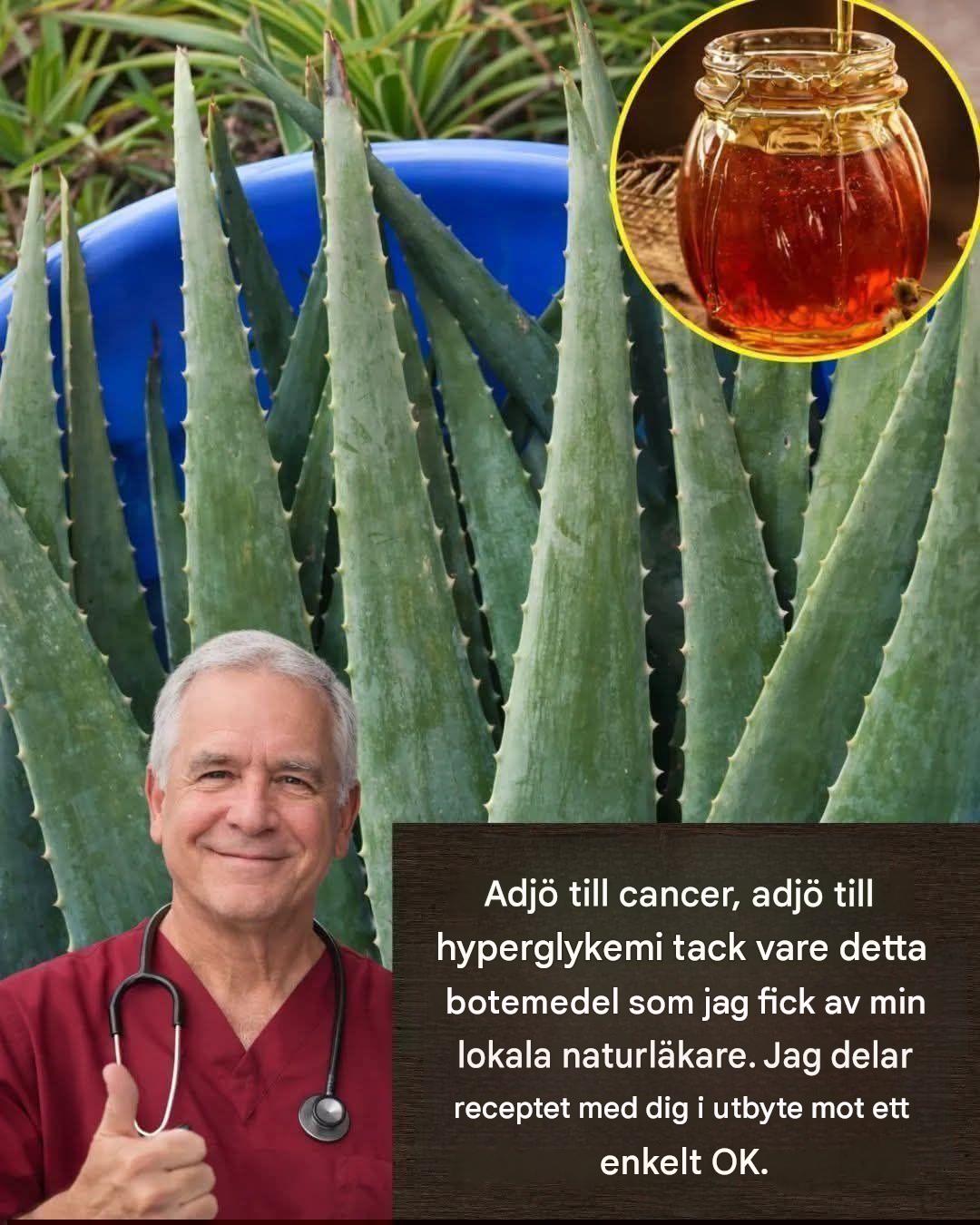 En dryck med aloe vera och honung