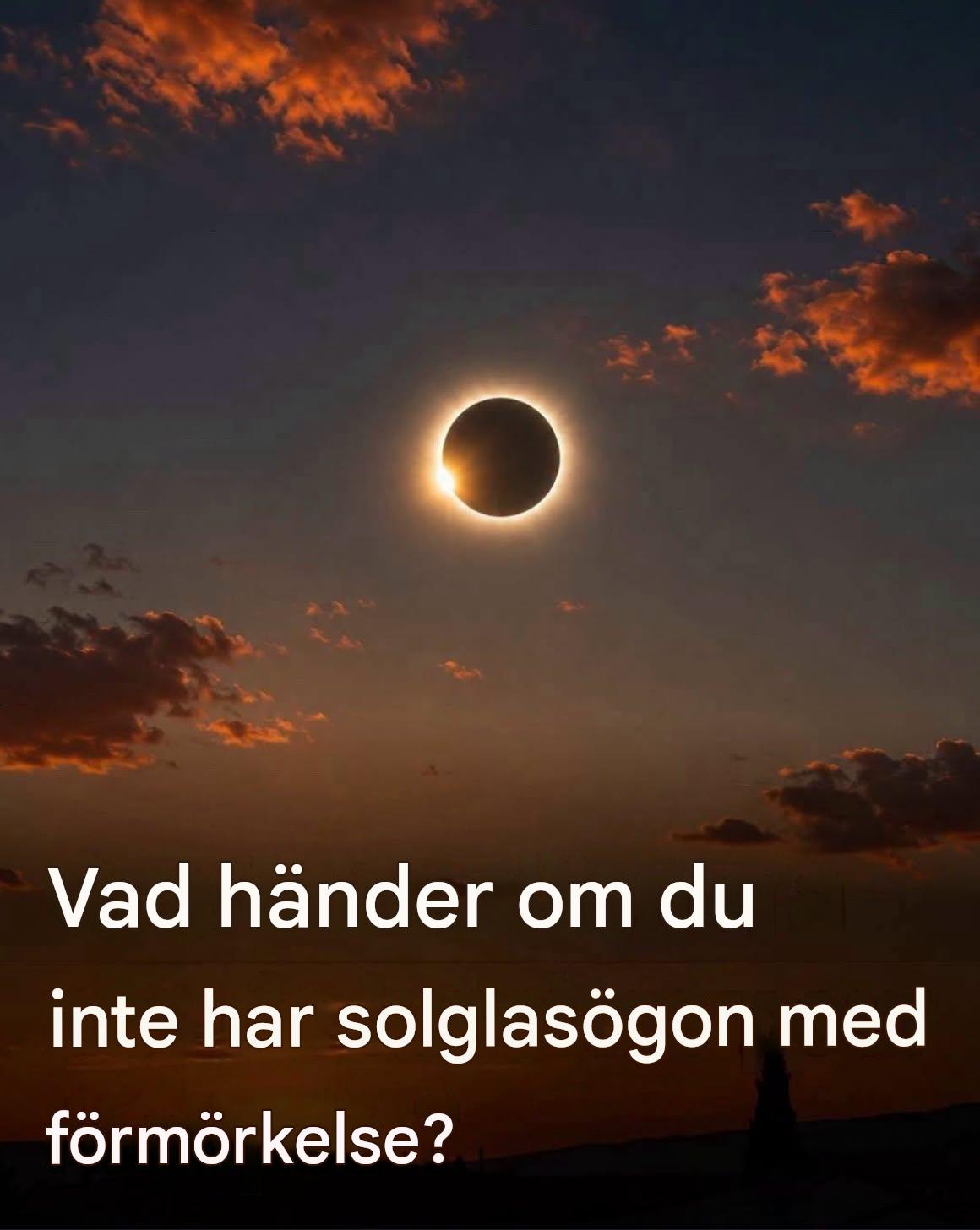 ⚫Kommentar Observer une Éclipse Solaire sans Lunettes: Les Solutions Sûres pour Profiter du Spectacle