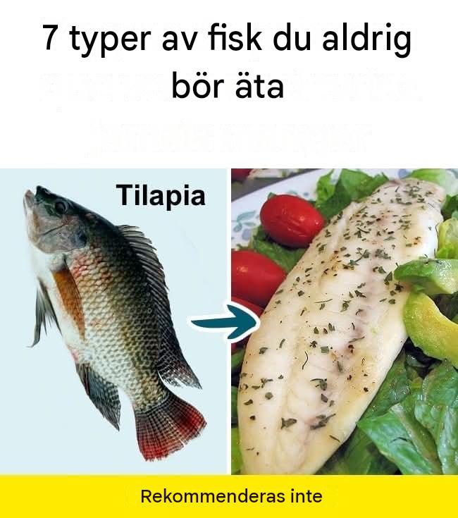 7 typer av fisk du aldrig bör äta