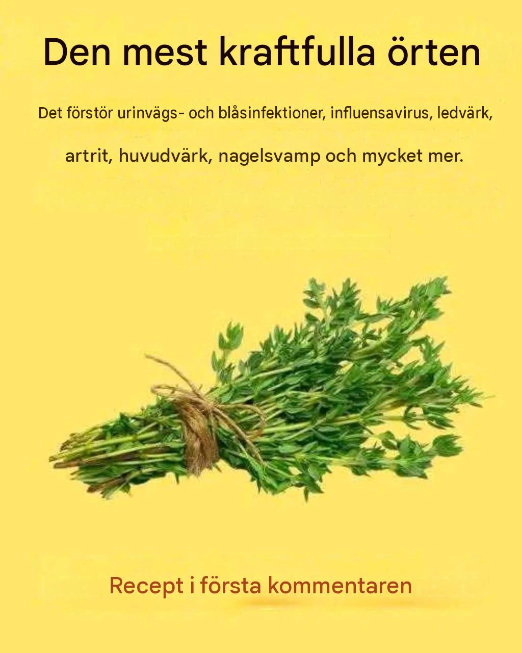 Den kraftfullaste örten: ett naturligt botemedel mot flera sjukdomar