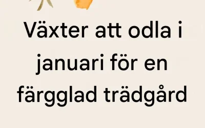 Blommor att så eller plantera i januari