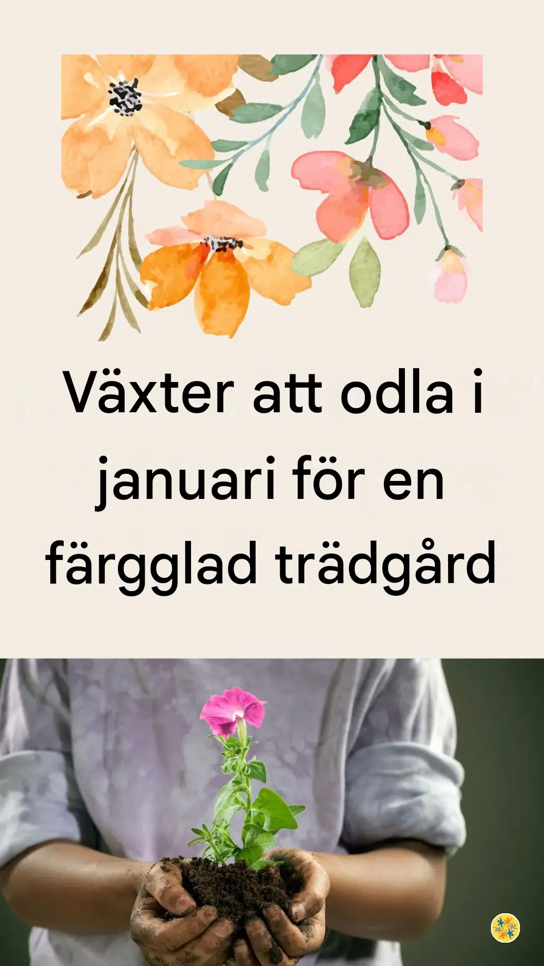 Blommor att så eller plantera i januari