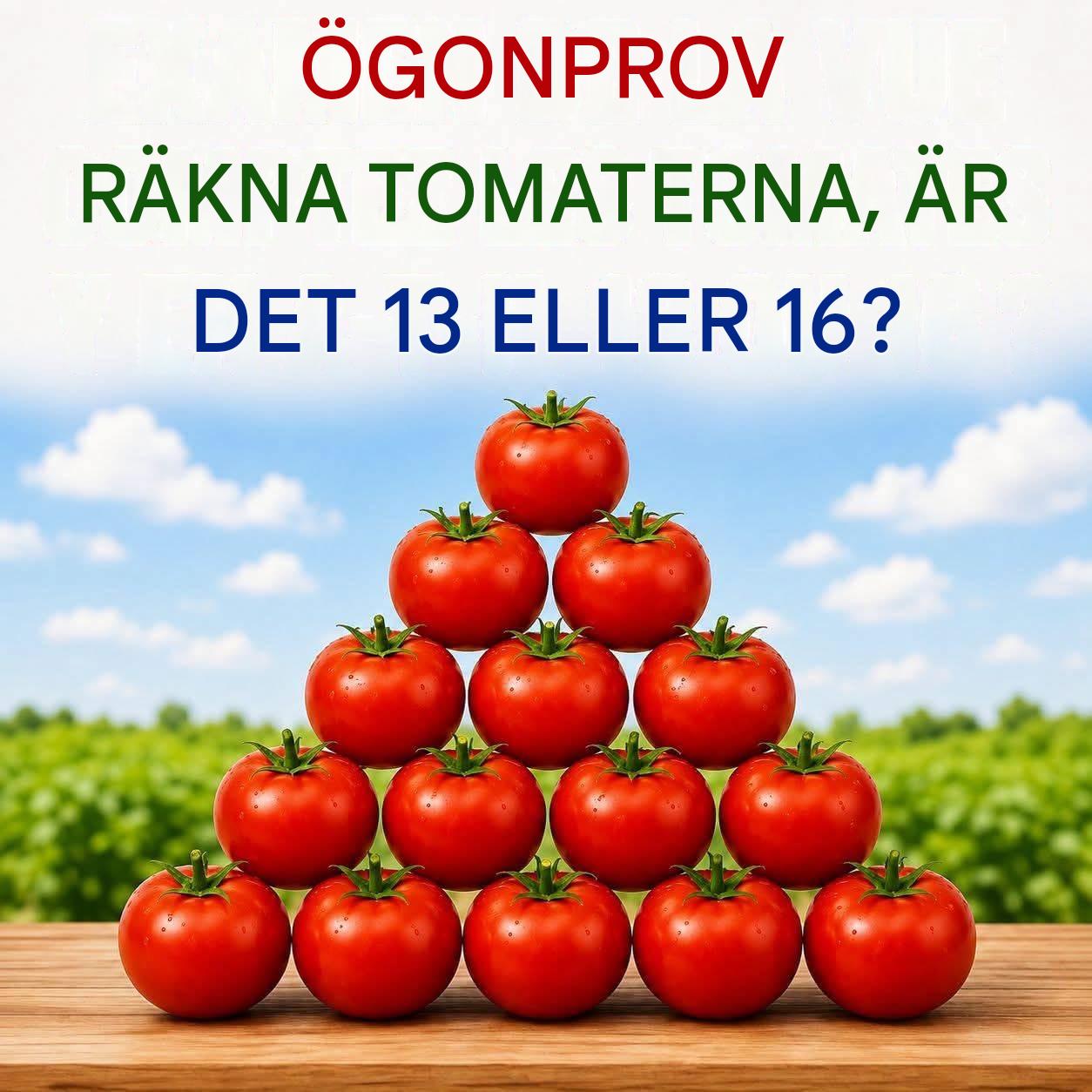 🍅 VISUELT TEST: HUR MÅNGA TOMATER SER DU?