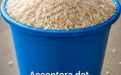 En dusch av sedlar: säg bara ja… Se mer