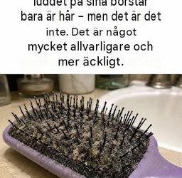 Vad är den gråa ludden på din hårborste?