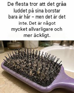 Vad är den gråa ludden på din hårborste?