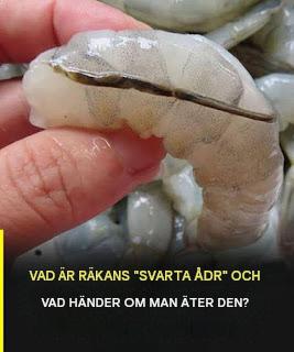 Vad är egentligen räkans “åder”? 🦐🤔 (De flesta har fel!)