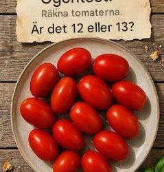 Syntest: Kan du hitta rätt antal tomater? Svaret kanske överraskar dig!