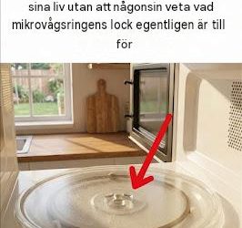 Jag lärde mig något överraskande idag — den där “lilla ringen” i din mikrovågsugn spelar faktiskt roll.