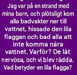 Den lila flaggan på stranden: Vad den egentligen betyder och varför du bör vara uppmärksam