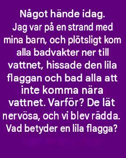 Den lila flaggan på stranden: Vad den egentligen betyder och varför du bör vara uppmärksam