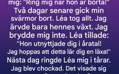 Jag ärvde bara en gammal växt – sanningen den innehöll förändrade allt.